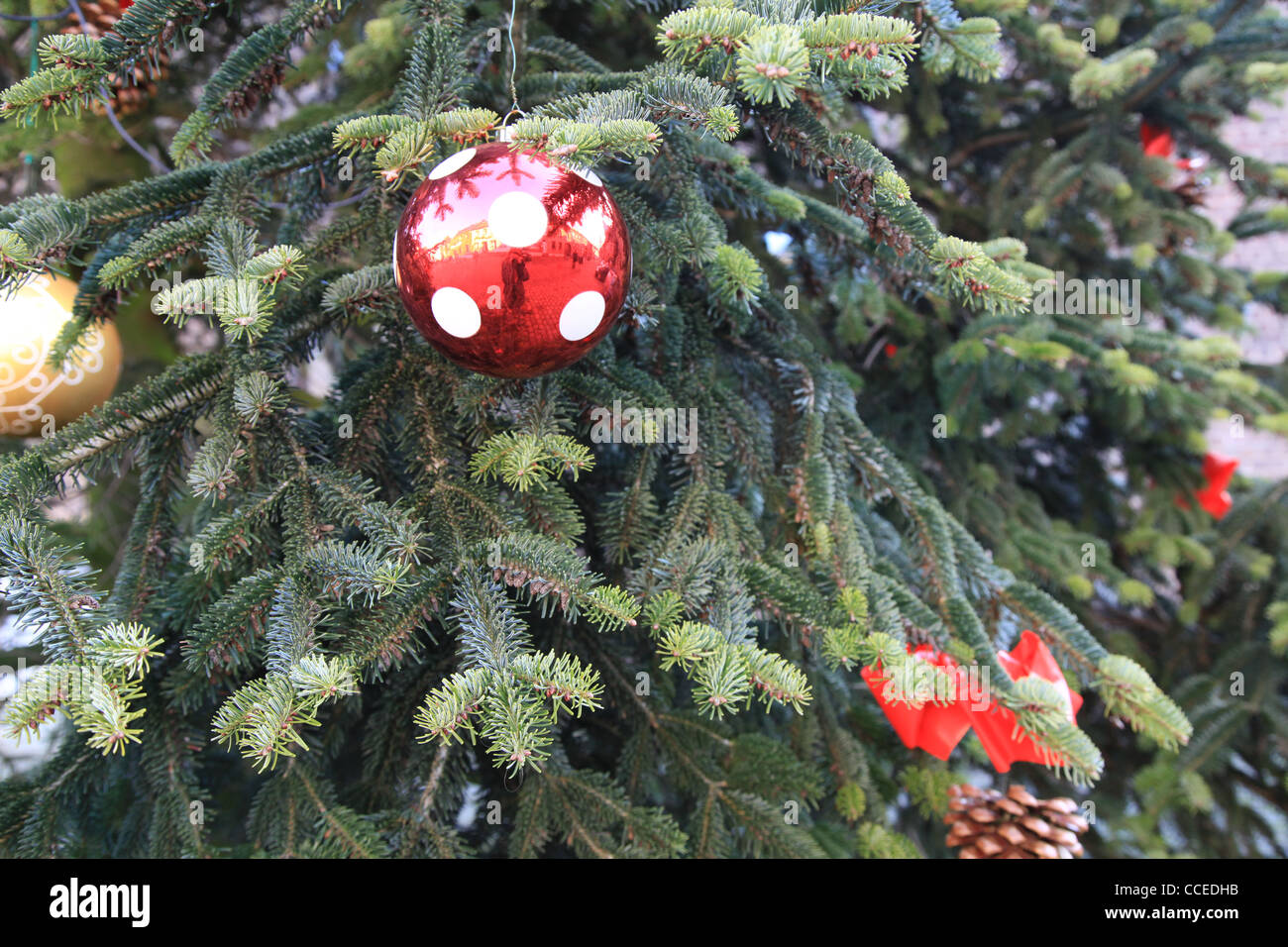 Weihnachtsbaum,pine cone,fir cone,Tannenzapfen,Kiefernzapfen,rote Schleife,red ribbon,tannenbaum,Weihnachten,Dekoration,grün Stock Photo