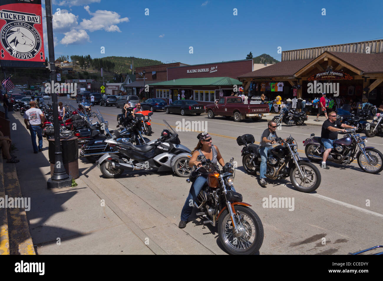 American Black Hills Hill City South Dakota in USA Stock Photo Alamy