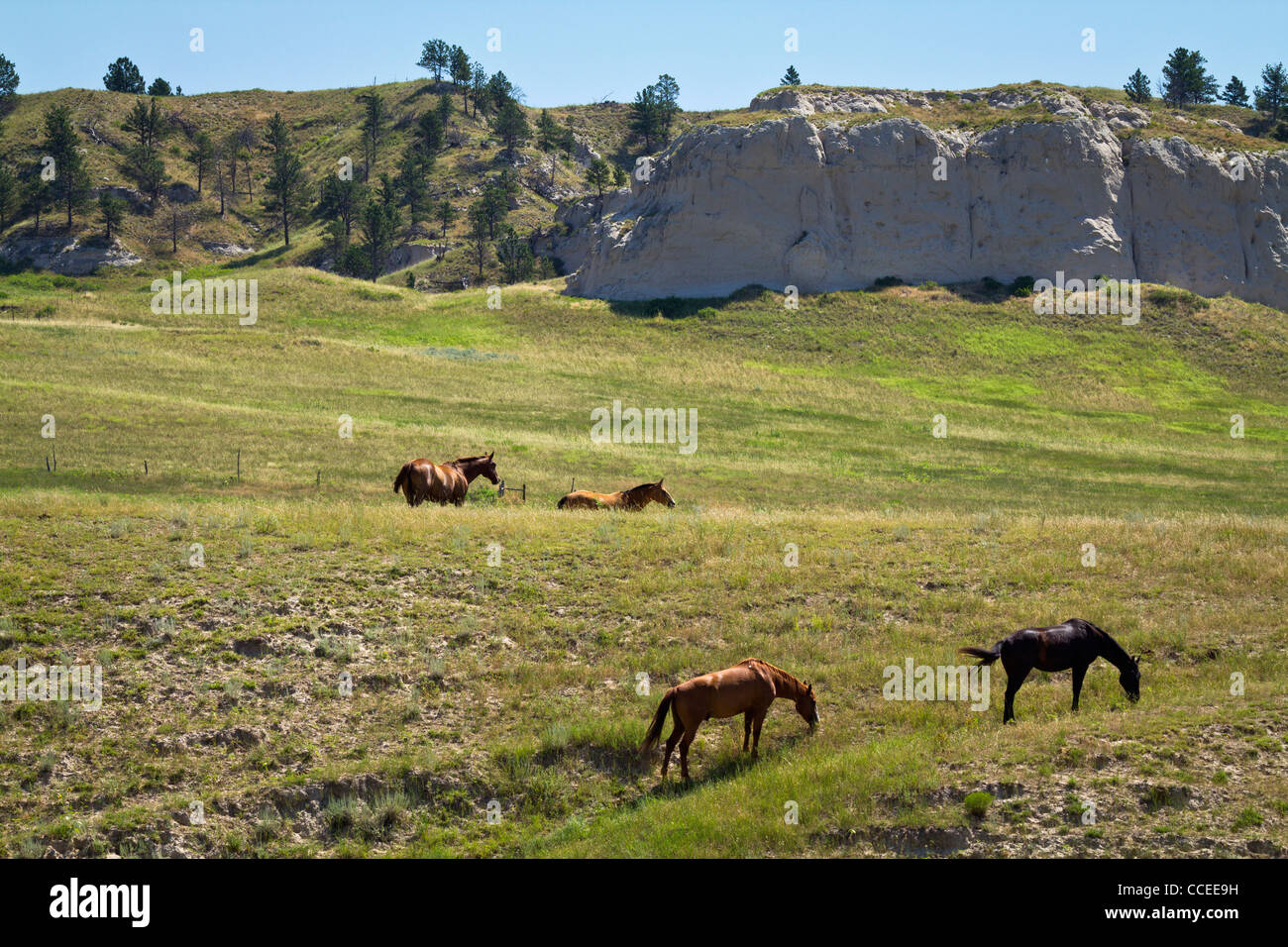 Pine Ridge prairie Native American Reservation Lakota Oglala Sioux South Dakota landscape blue