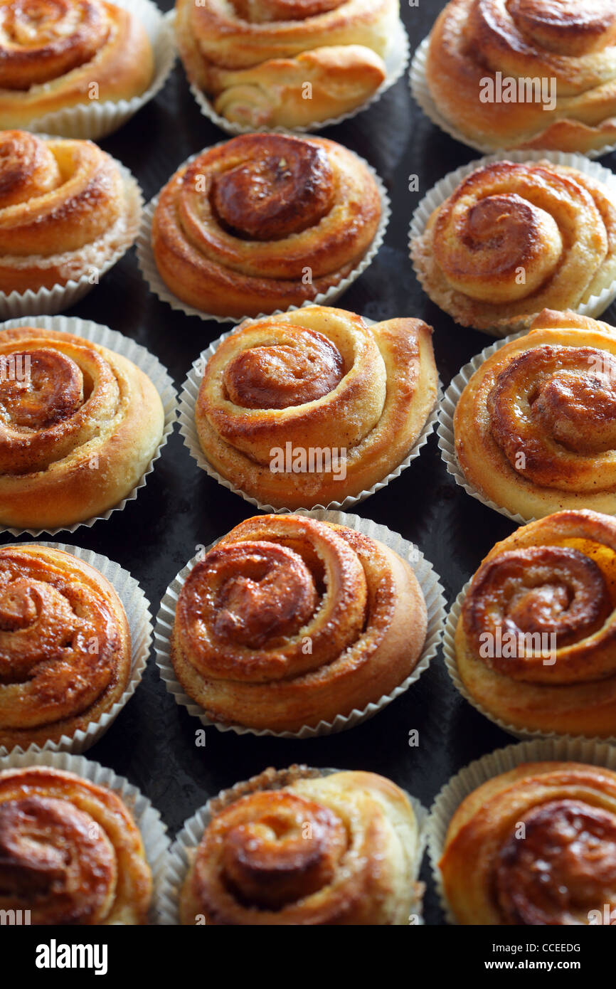 Fresh Cinnamon Buns Stock Photo