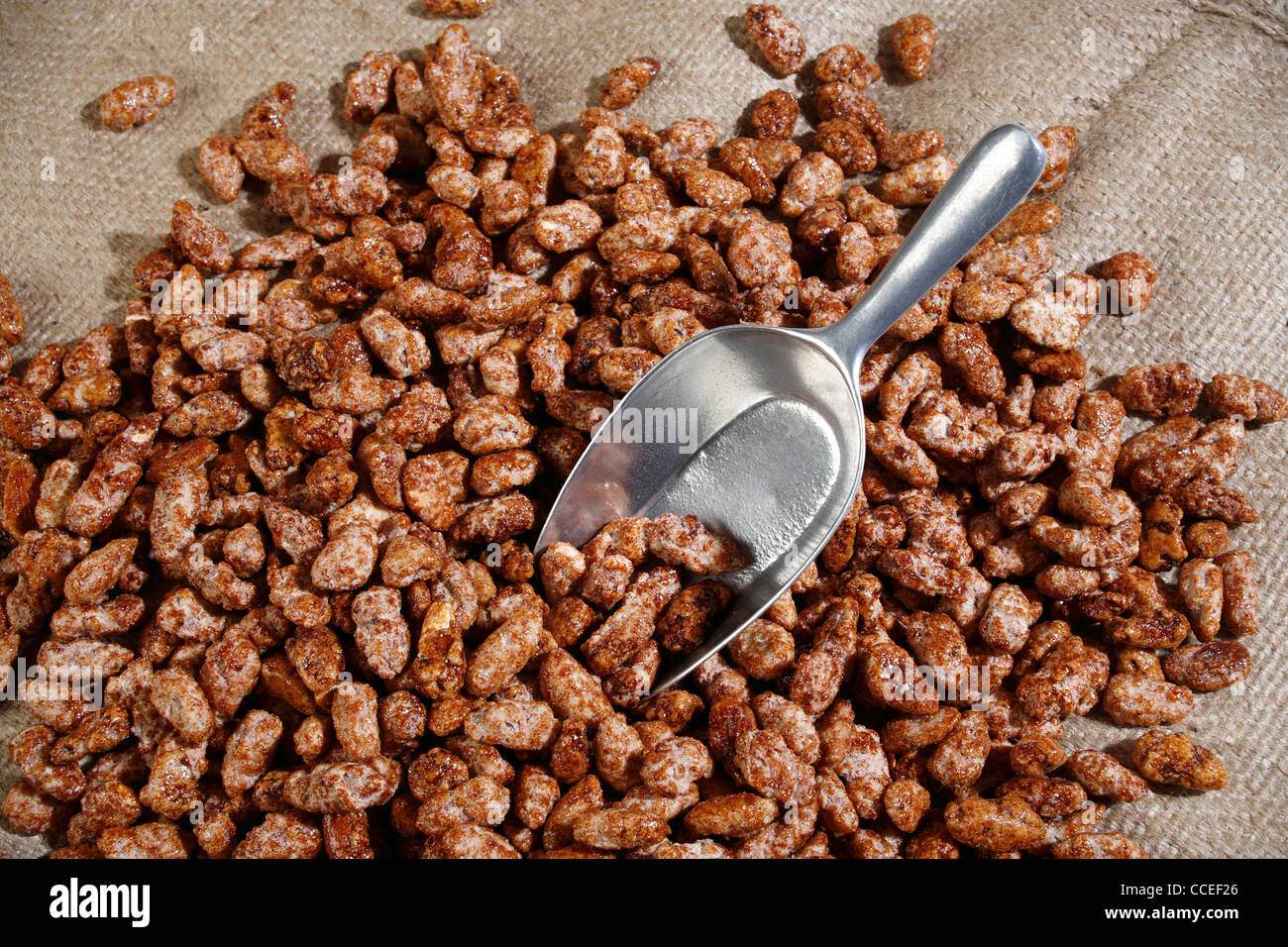 still life with roasted cinnamon almonds and scoop, germany, europe