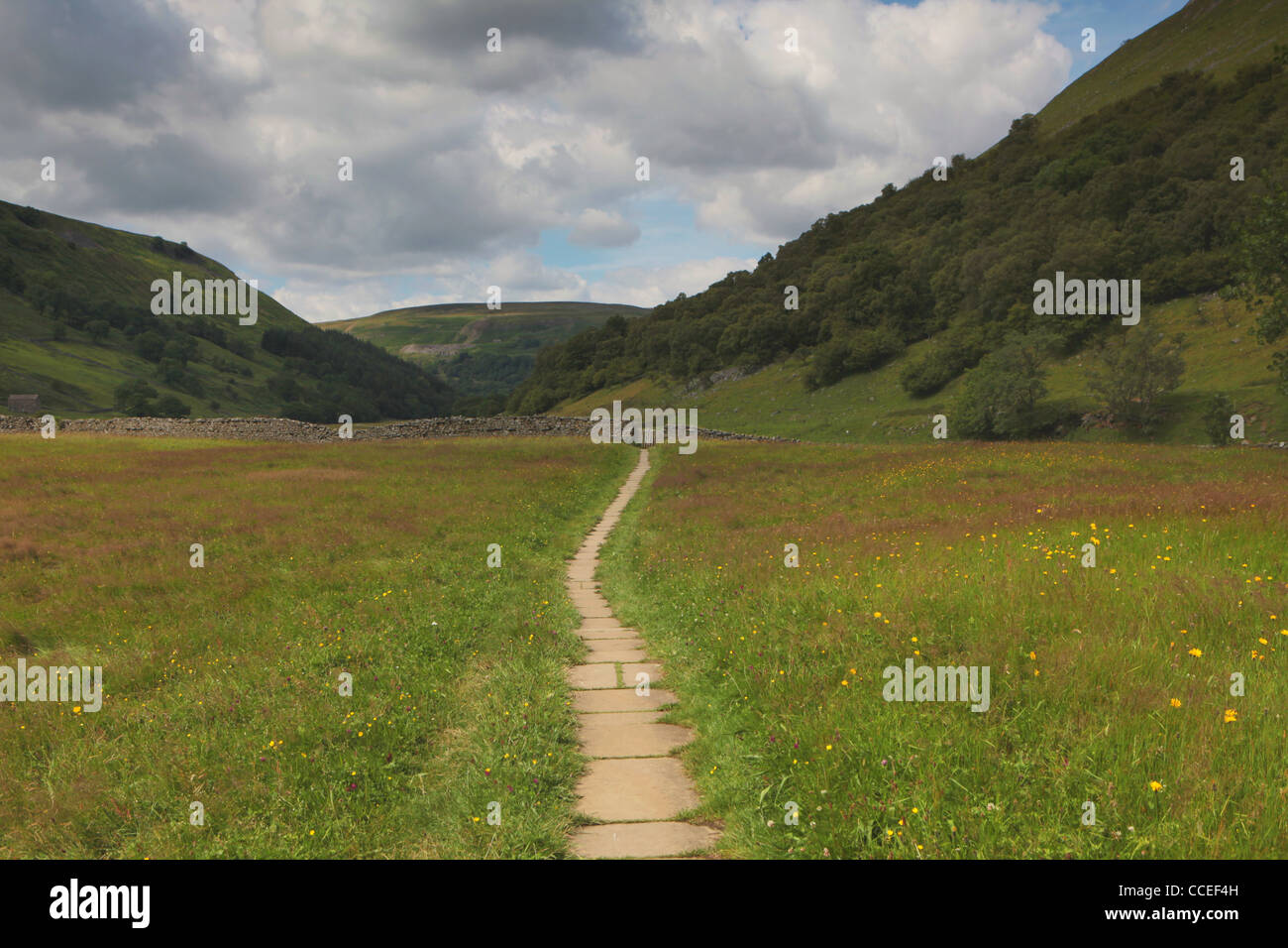 A footpath near Muker in Upper Swaledale Yorkshire Stock Photo