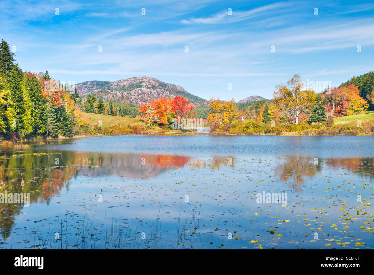 Autumn color on Long Pond, Acadia National Park Maine. Stock Photo