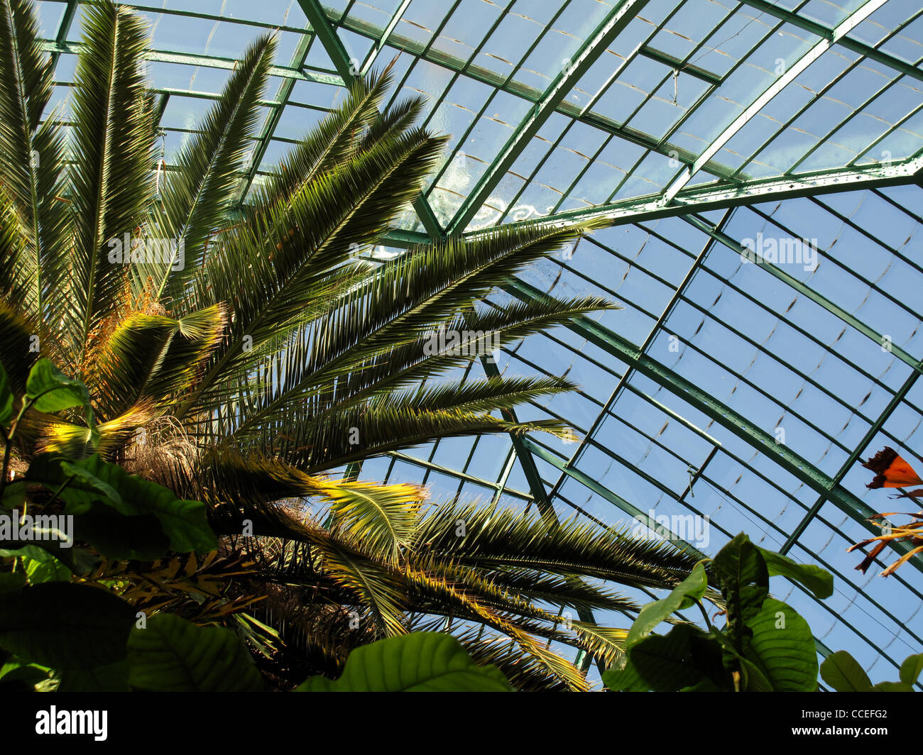 Jardin Des Serres D Auteuil Paris France Bois De Boulogne Greenhouses Stock Photo Alamy