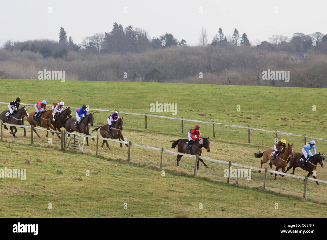 Thoroughbred Horsesat The Steeplechase Heythrop Hunt Point To 