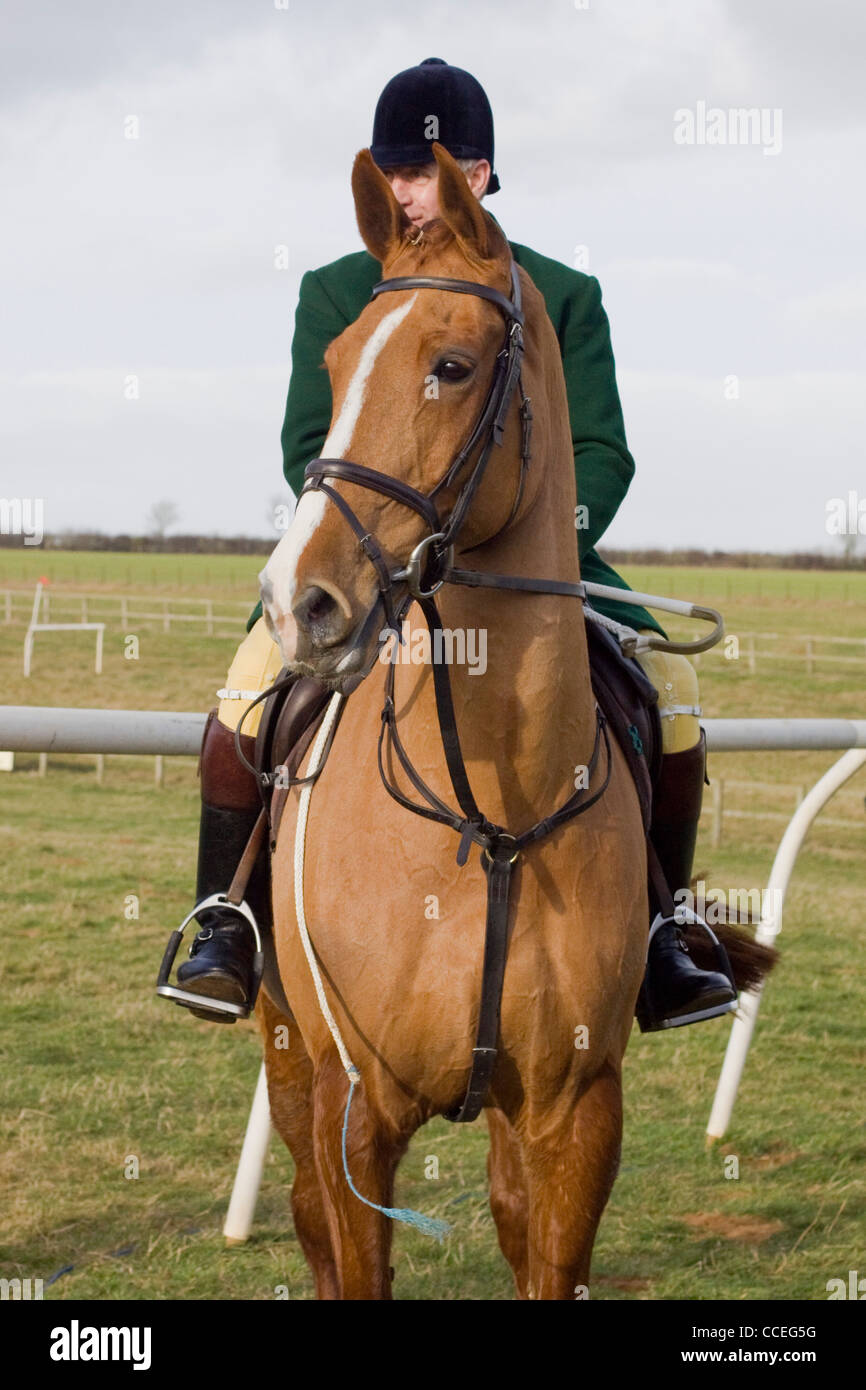 Huntsman at the Chipping Norton Point to point Stock Photo