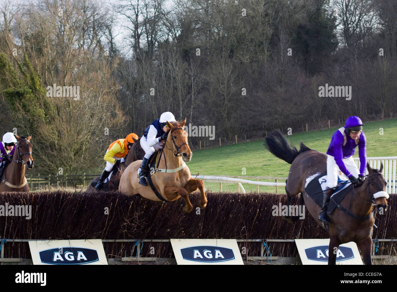 Race horses jumping brush fences at a local point to point meeting