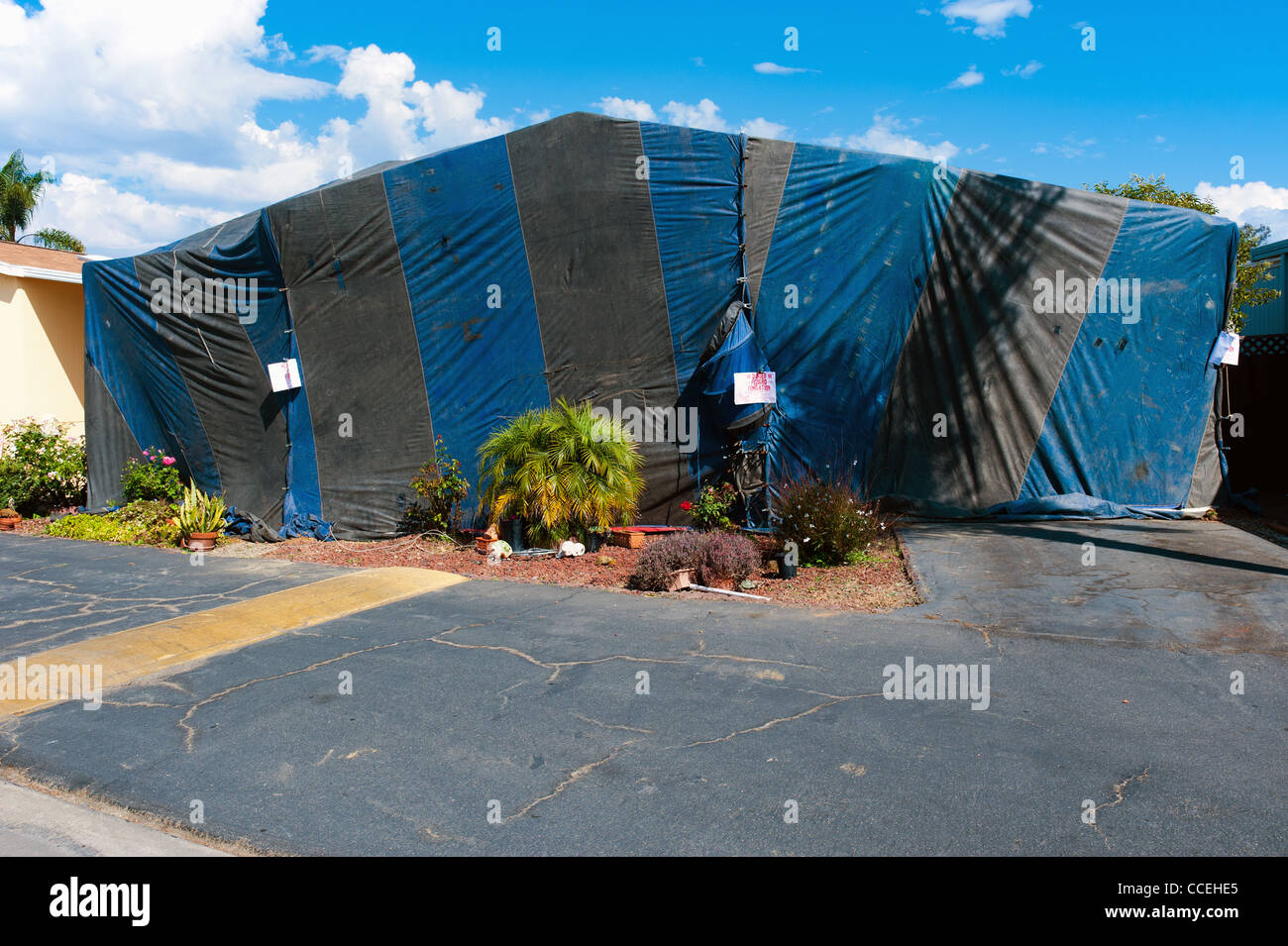 Tented house ready to be fumigated Stock Photo Alamy