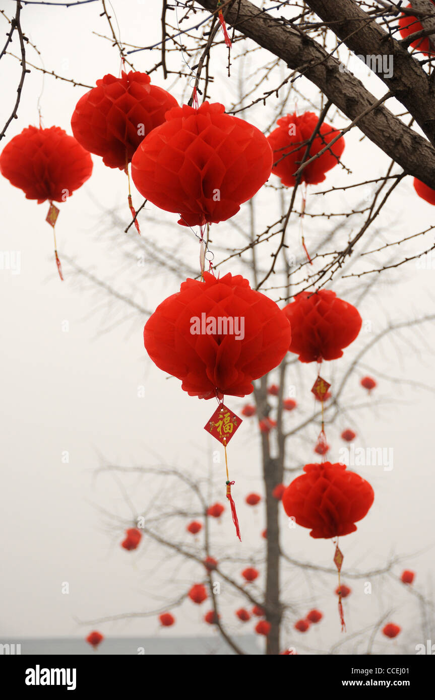 Chinese lanterns in tree Stock Photo - Alamy