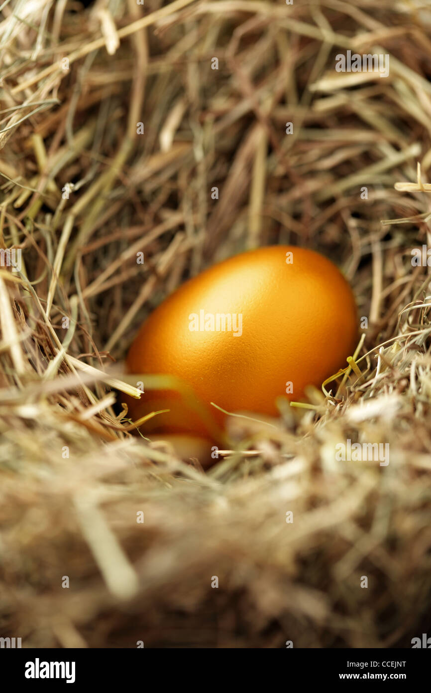 One golden chicken egg in nest close-up Stock Photo