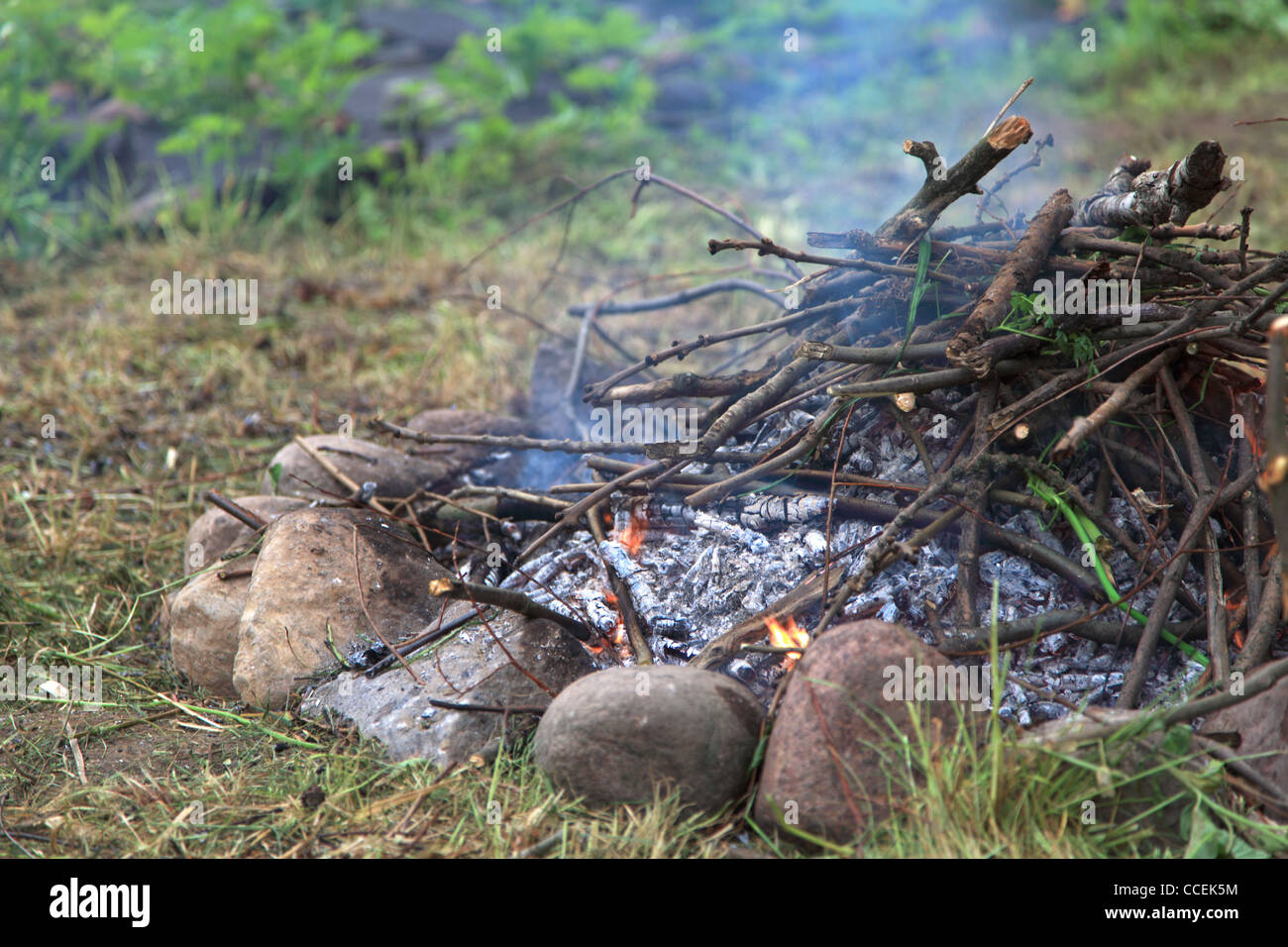 bonfire, campfire in the summer forest Stock Photo - Alamy
