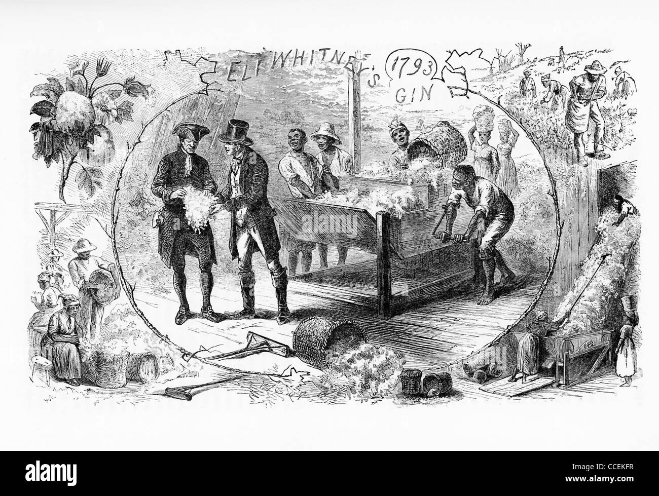 This illustration depicts workers (slaves) picking and tending cotton and Eli Whitney's new gin in the middle. Stock Photo