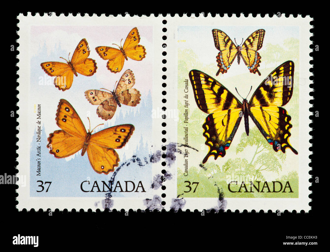 Postage stamp from Canada depicting butterflies (Macoun's arctic and Canadian Tiger Swallowtail) Stock Photo