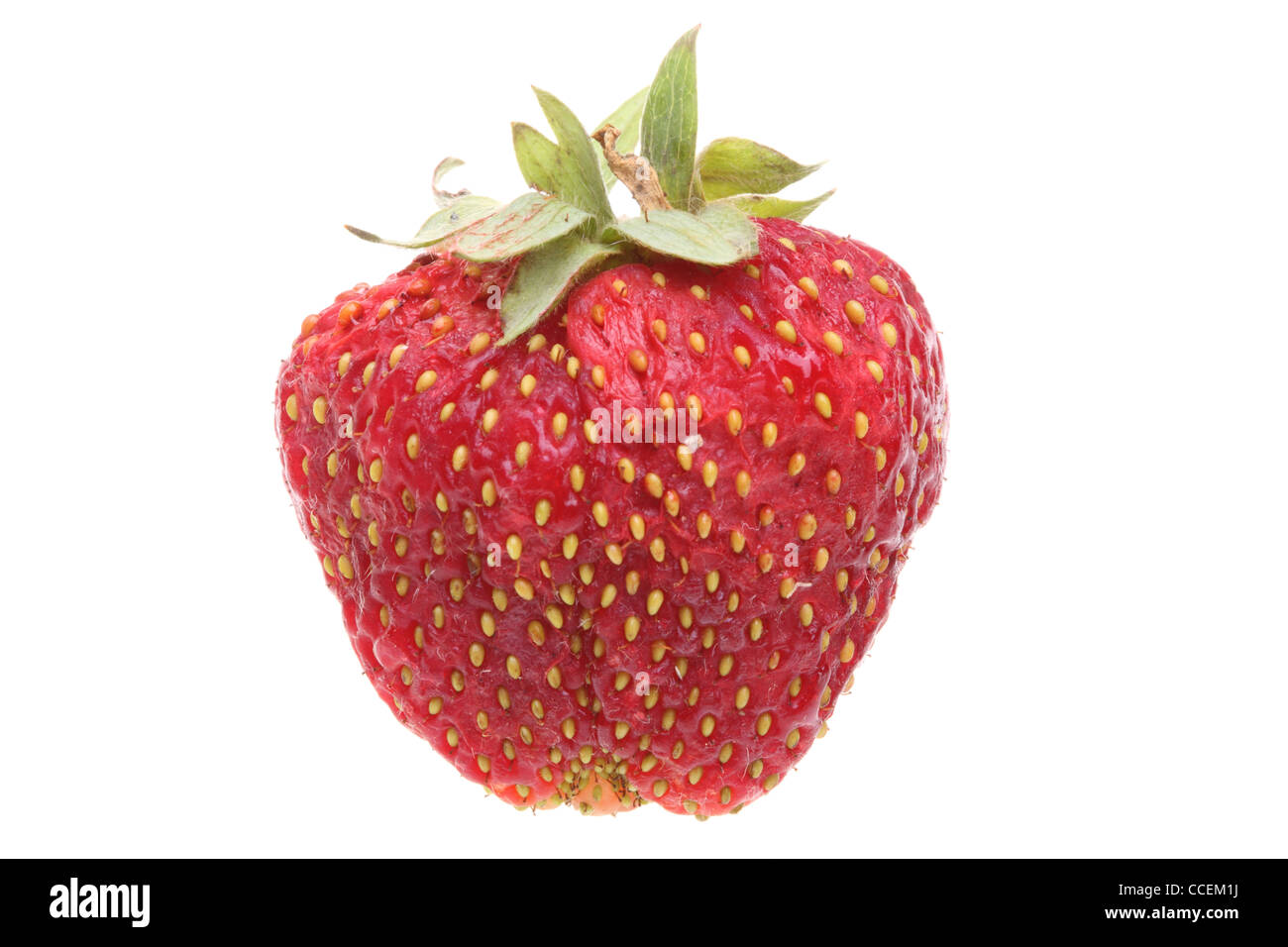 Fresh red strawberry isolated on white background Stock Photo - Alamy
