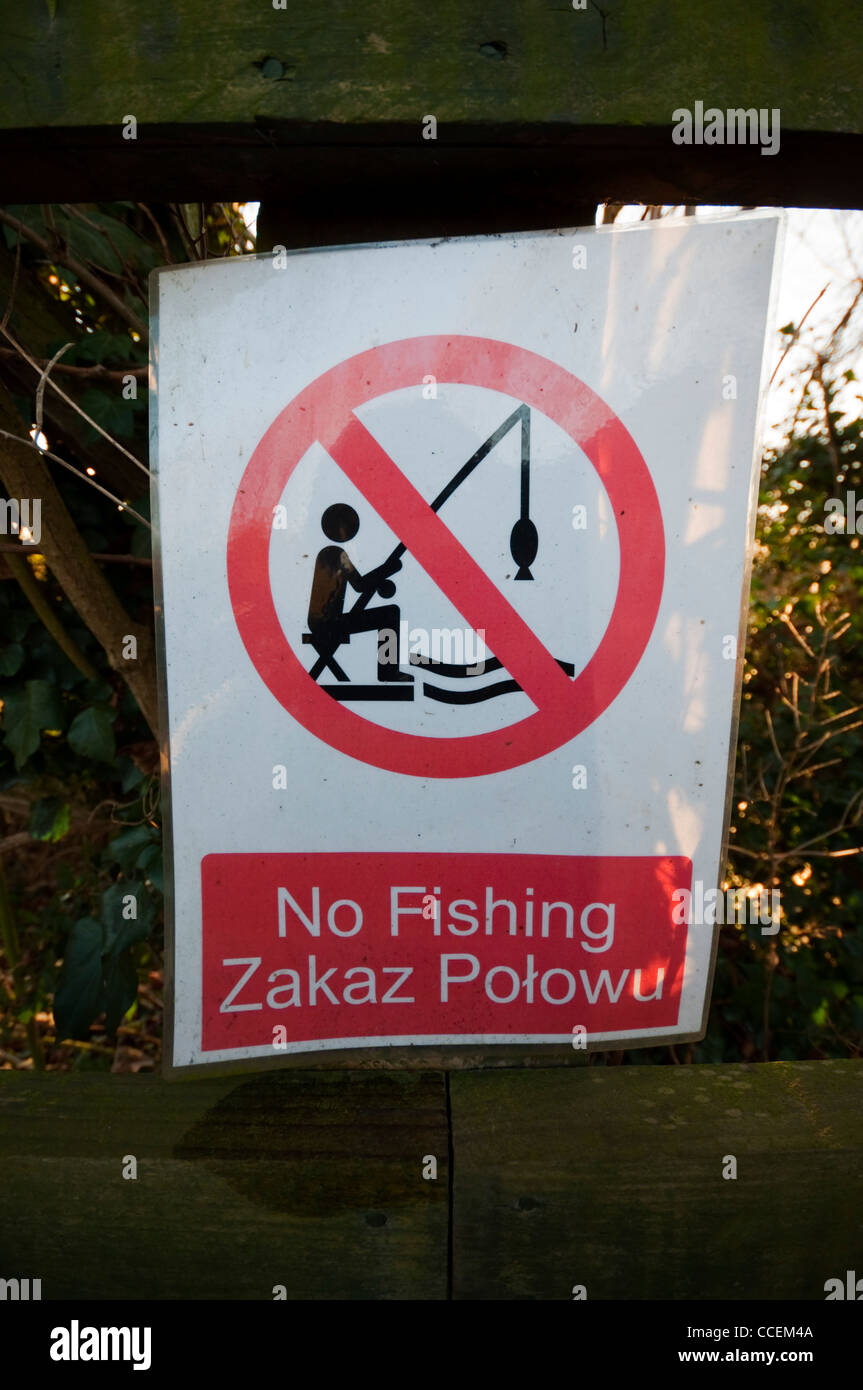 Bi-lingual 'no Fishing' sign in Polish and English, Grand Union Canal, Marsworth, UK Stock Photo