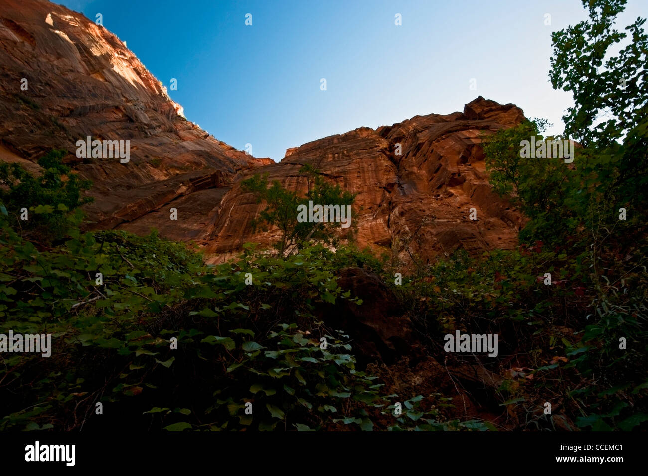 Zion National Park, Utah landscape, mountain scape Stock Photo