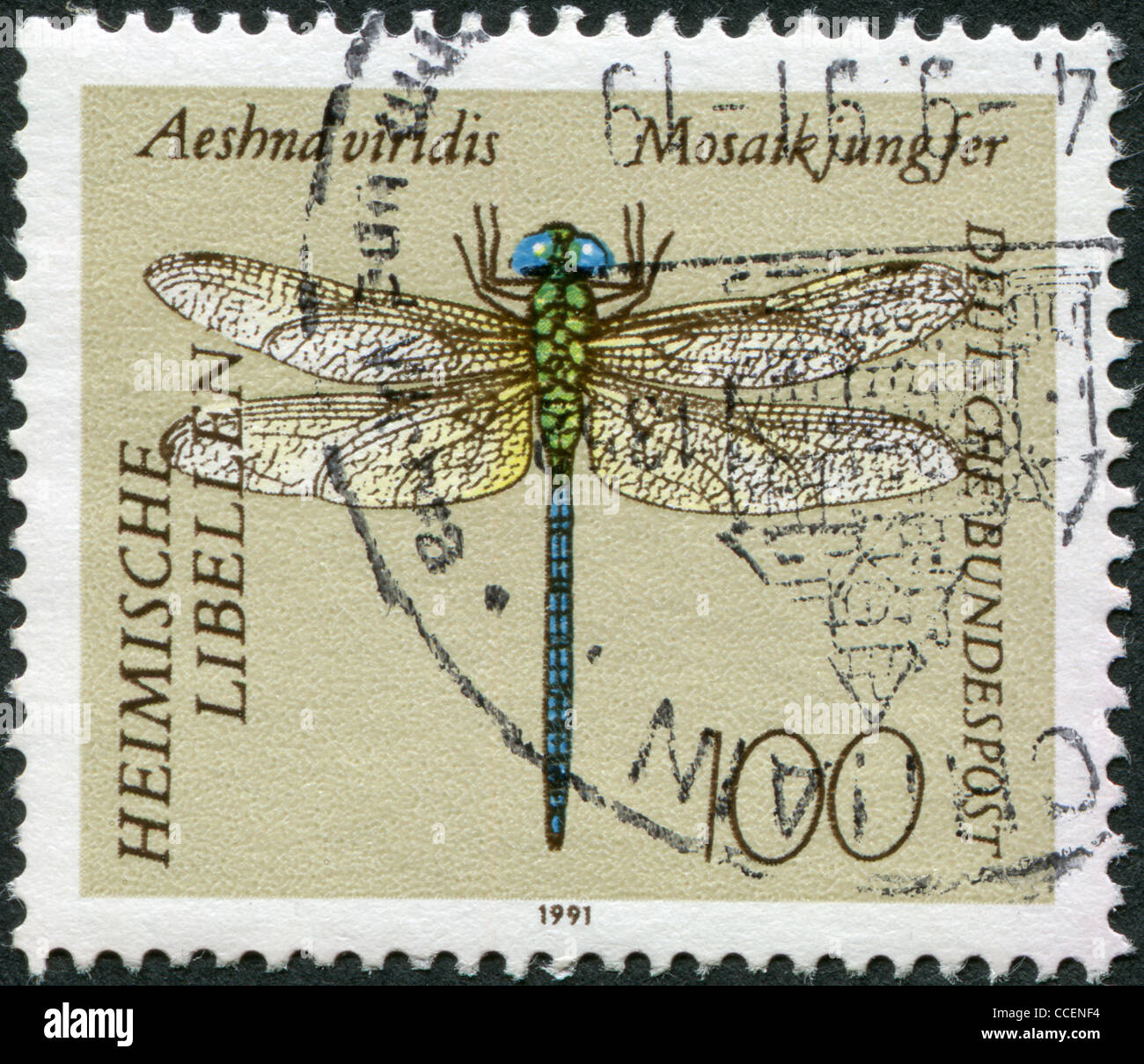 GERMANY - CIRCA 1991: A stamp printed in Germany, shows Green Hawker (Aeshna viridis), circa 1991 Stock Photo