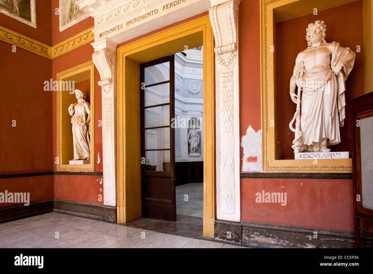 Botanical Garden, Palermo, Sicily, Italy, Europe Stock Photo - Alamy