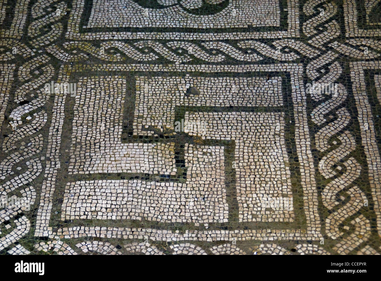 Herculaneum, 'casa dell'atrio a mosaico', ( house of the mosaic-atrium), detail. Stock Photo