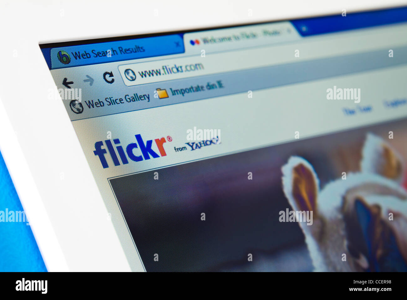 Flickr web page on the browser Stock Photo