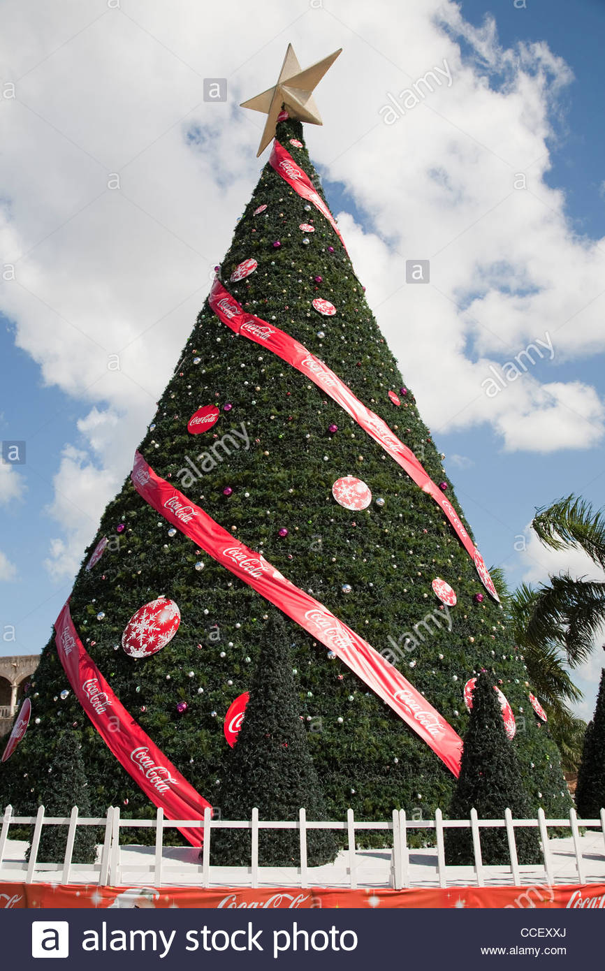 square padre bellinichristmas treesanto domingohispanioladominican republiccaribbean - Christmas In Dominican Republic square padre bellinichristmas treesanto domingohispanioladominican republiccaribbean - Christmas In Dominican Republic