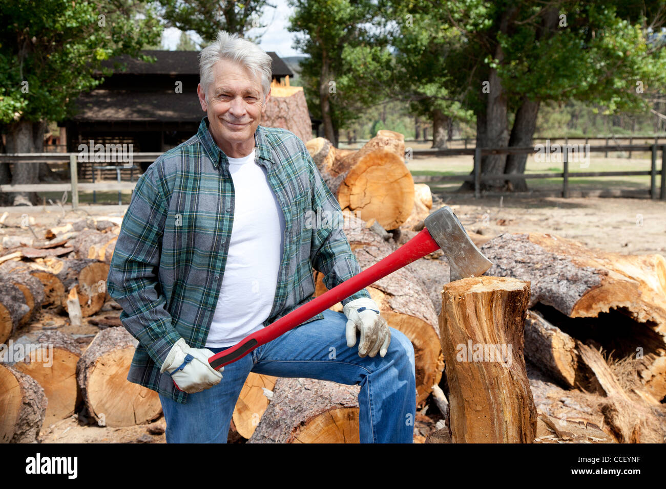 Portrait of senior lumber jack holding an axe Stock Photo Alamy