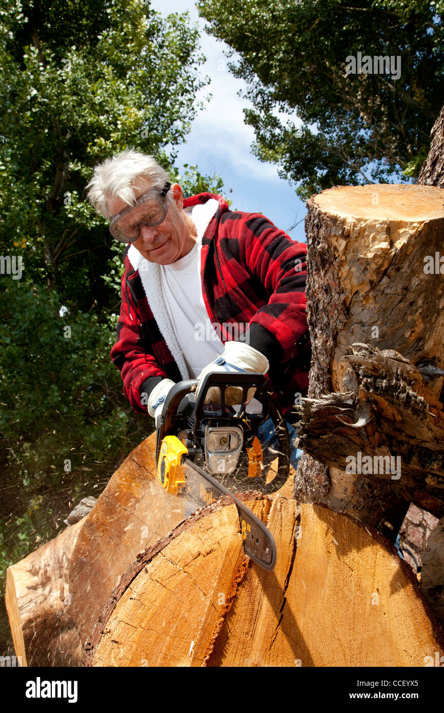 Man Cutting Tree High Resolution Stock Photography and Images Alamy