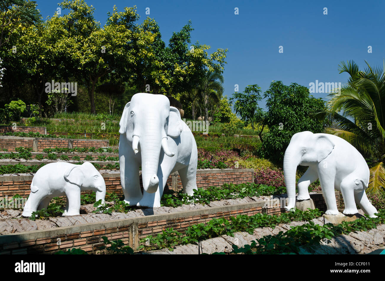 Three life-size white elephant statues in Royal Flora Expo in Chiang Mai  Thailand Stock Photo - Alamy
