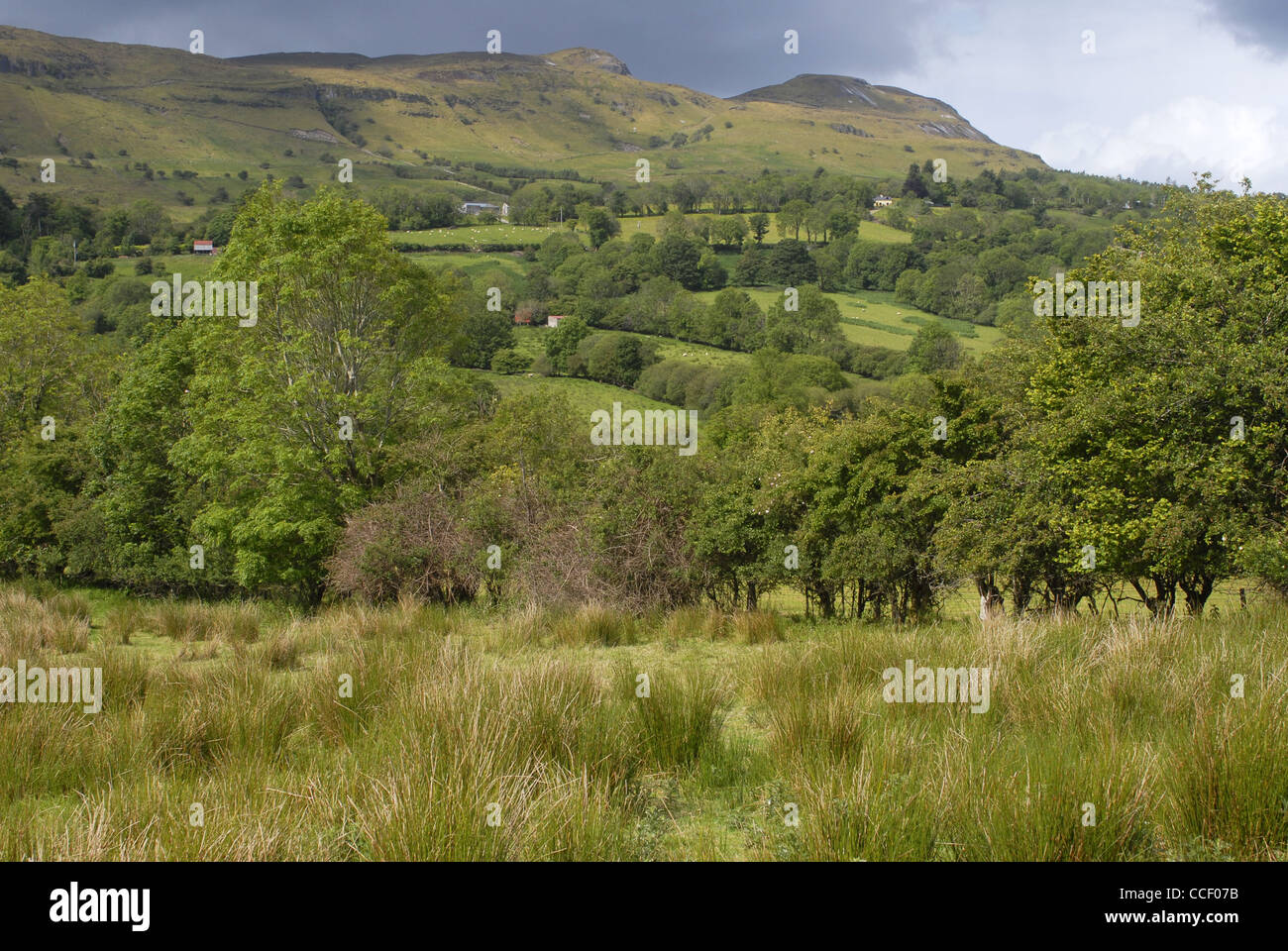 Glencar Valley, County Leitrim, Connacht, Ireland, Europe. Stock Photo