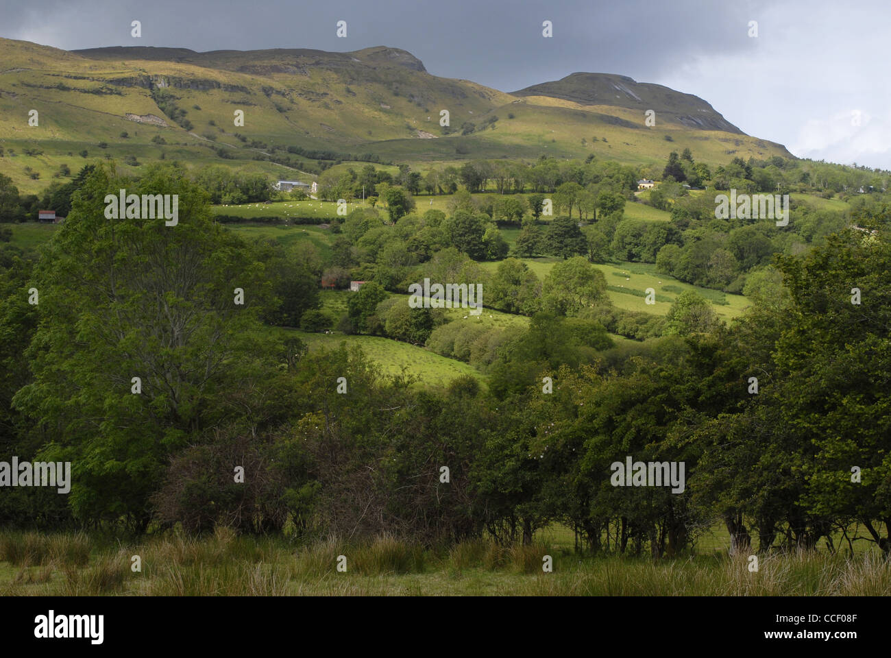Glencar Valley, County Leitrim, Connacht, Ireland, Europe Stock Photo