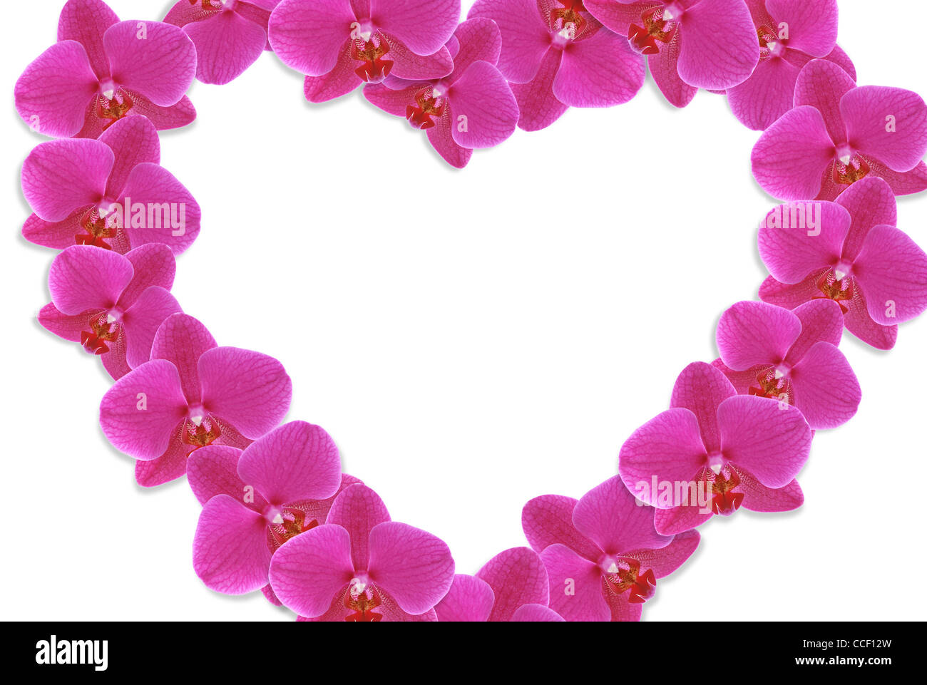 Heart made of flowers on white background Stock Photo
