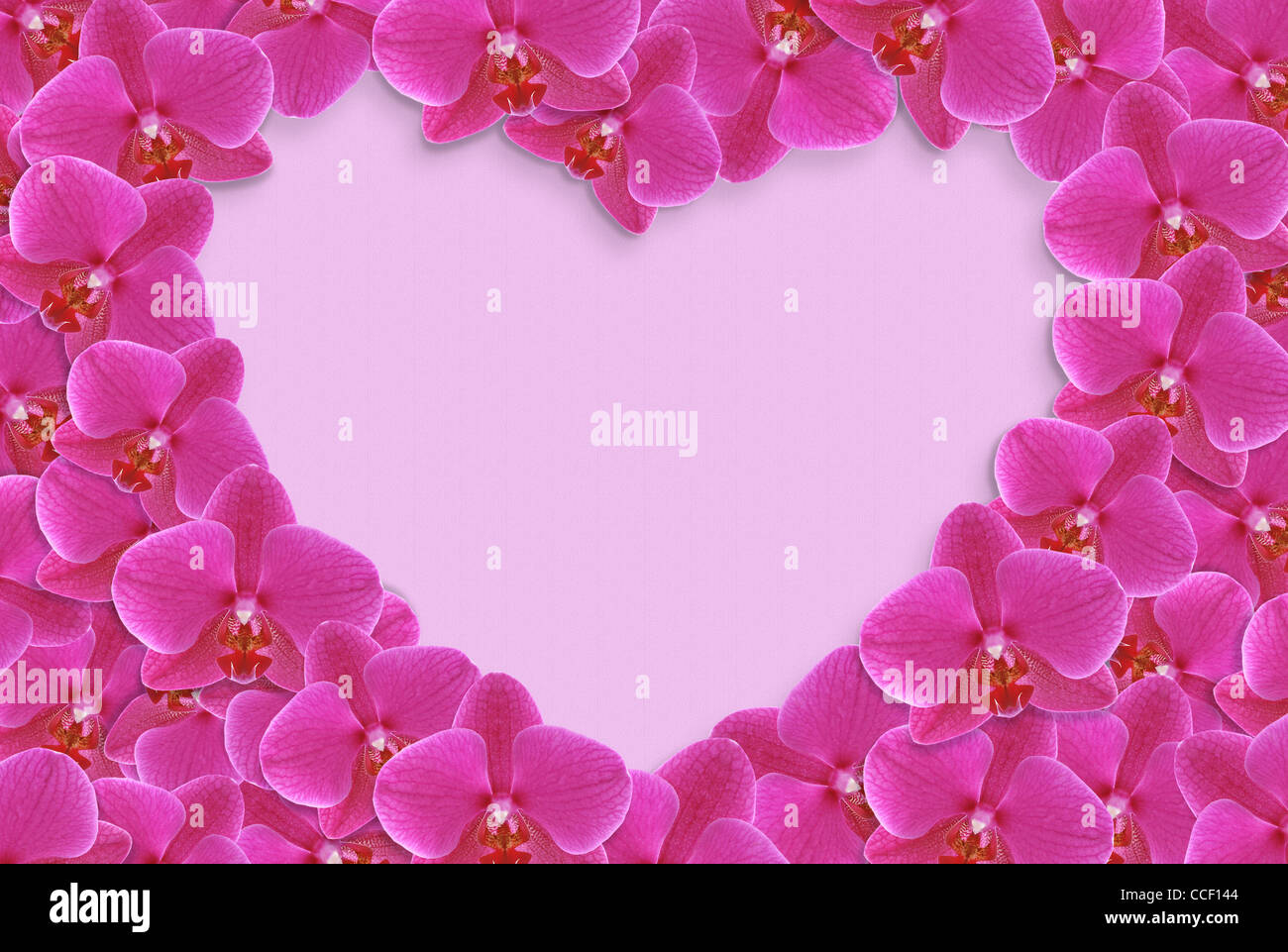 Heart made of flowers on lilac background Stock Photo