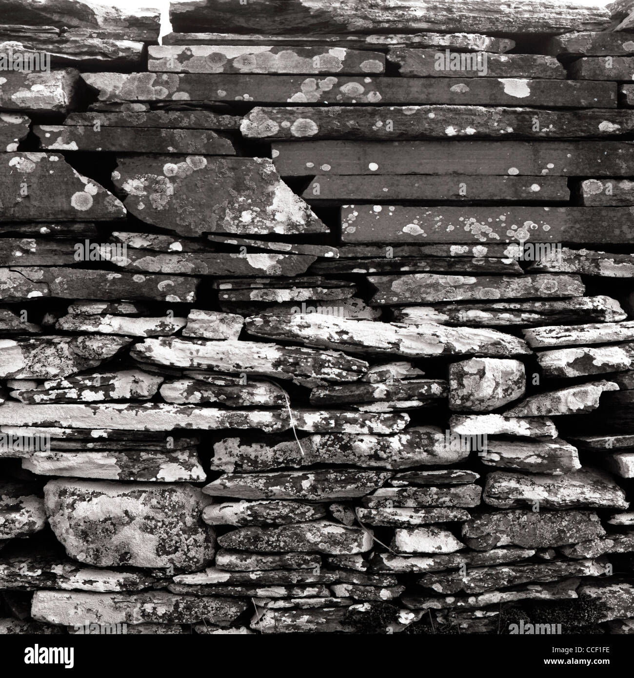 A traditional stonewall on Scotlands, North Coast, near the village of