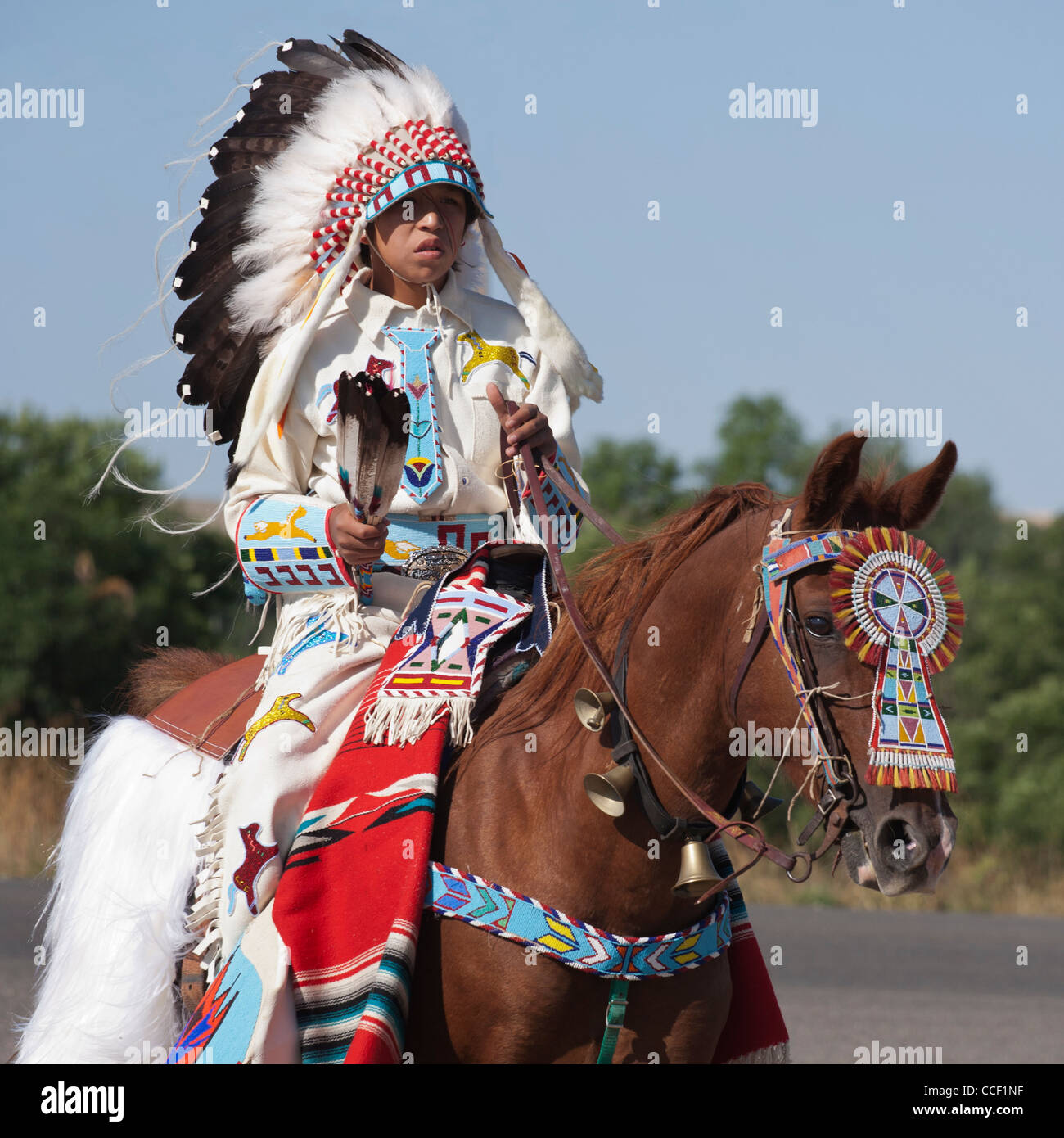 Native American Ledger Horse Native American Ledger Horse