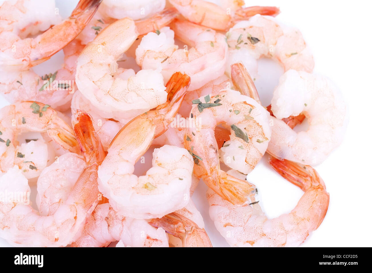 Closeup shrimps on white Stock Photo