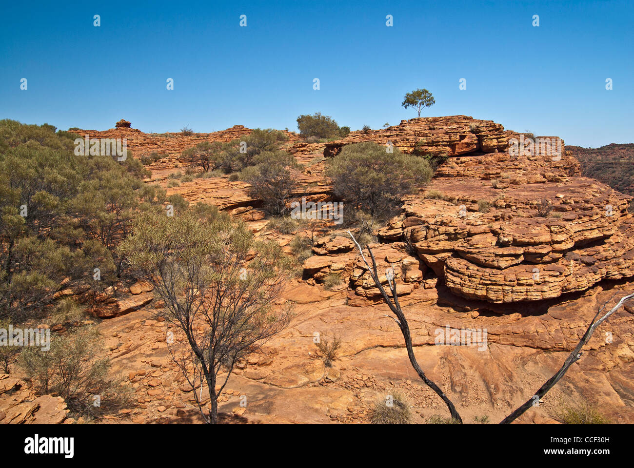 KINGS CANYON, RIM WALK, WATARRKA NATIONAL PARK, NORTHERN TERRITORY, NT ...
