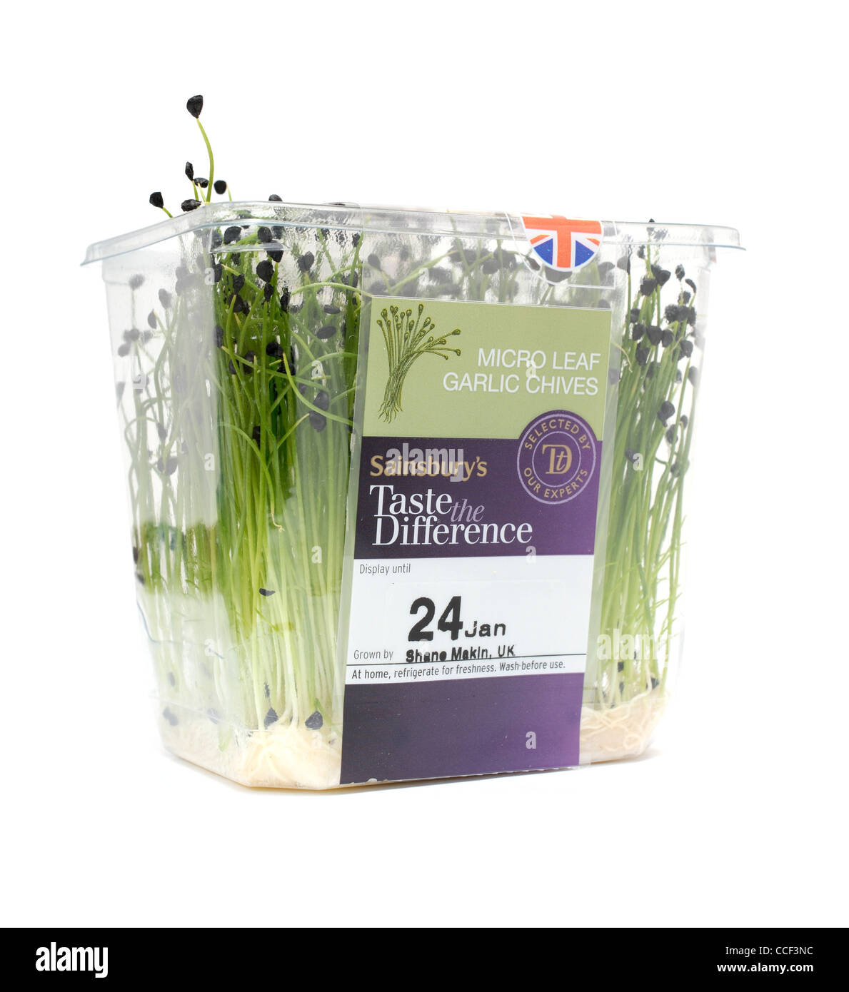 Microleaf garlic chives Stock Photo