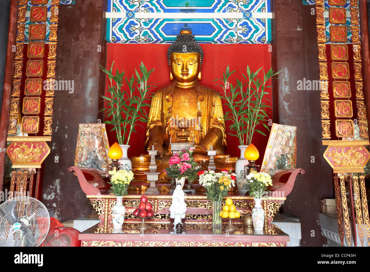 golden buddha statue in po fook hill cemetery sha tin new territories