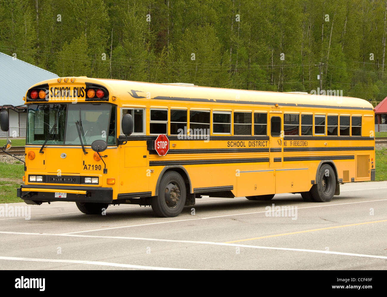 Canadian School Bus, Revelstoke, British Columbia, Canada Stock Photo Alamy