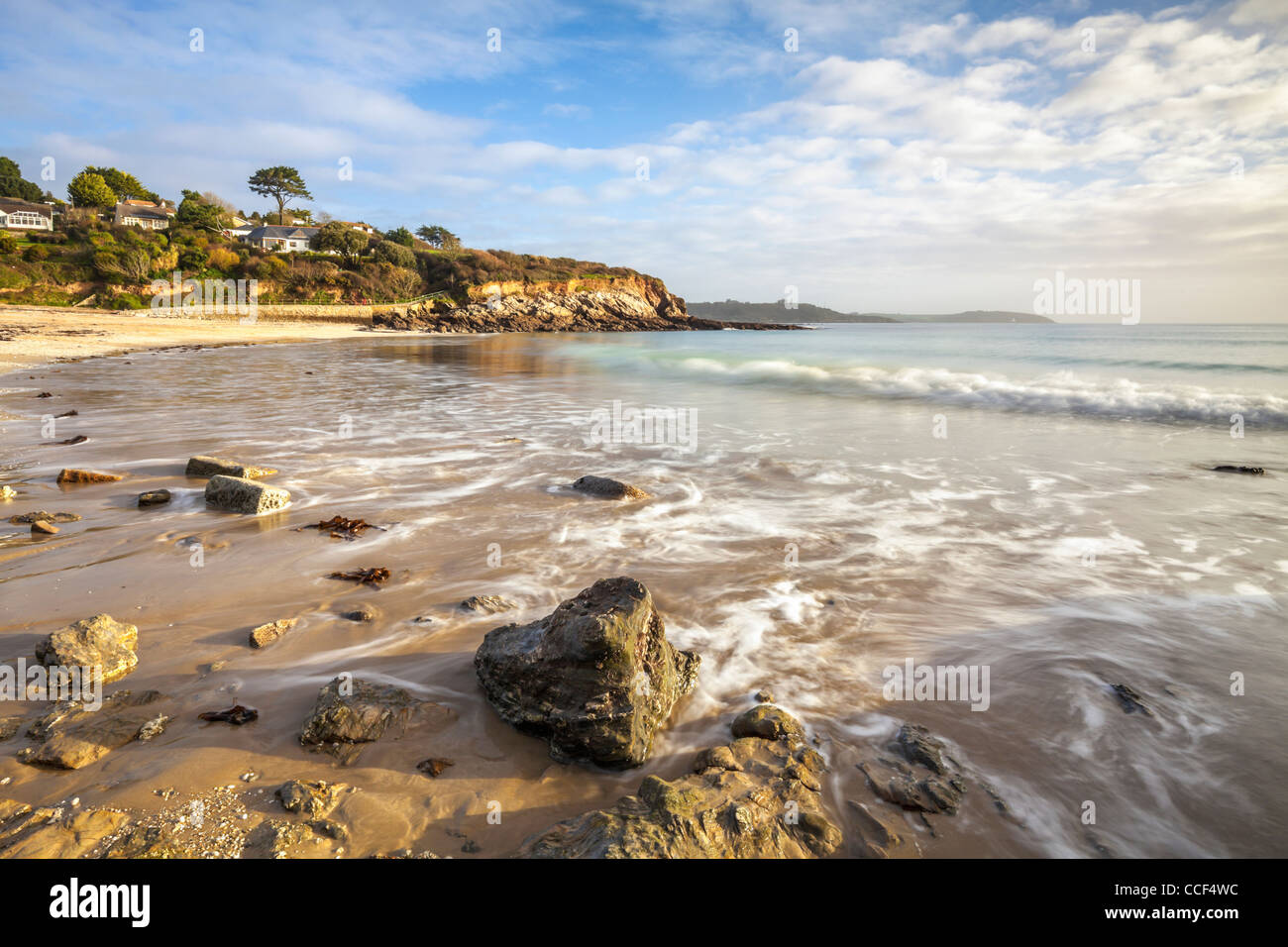 Swanpool Beach is just a short (half mile) walk from Falmouth's Glyllngvase Beach in Cornwall Stock Photo