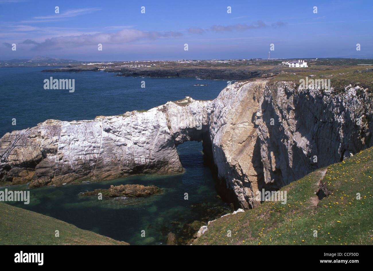 Bwa Gwyn (White Arch) Natural rock arch on coast of Holy Island Near Rhoscolyn Holyhead Mountain Anglesey North Wales UK Stock Photo