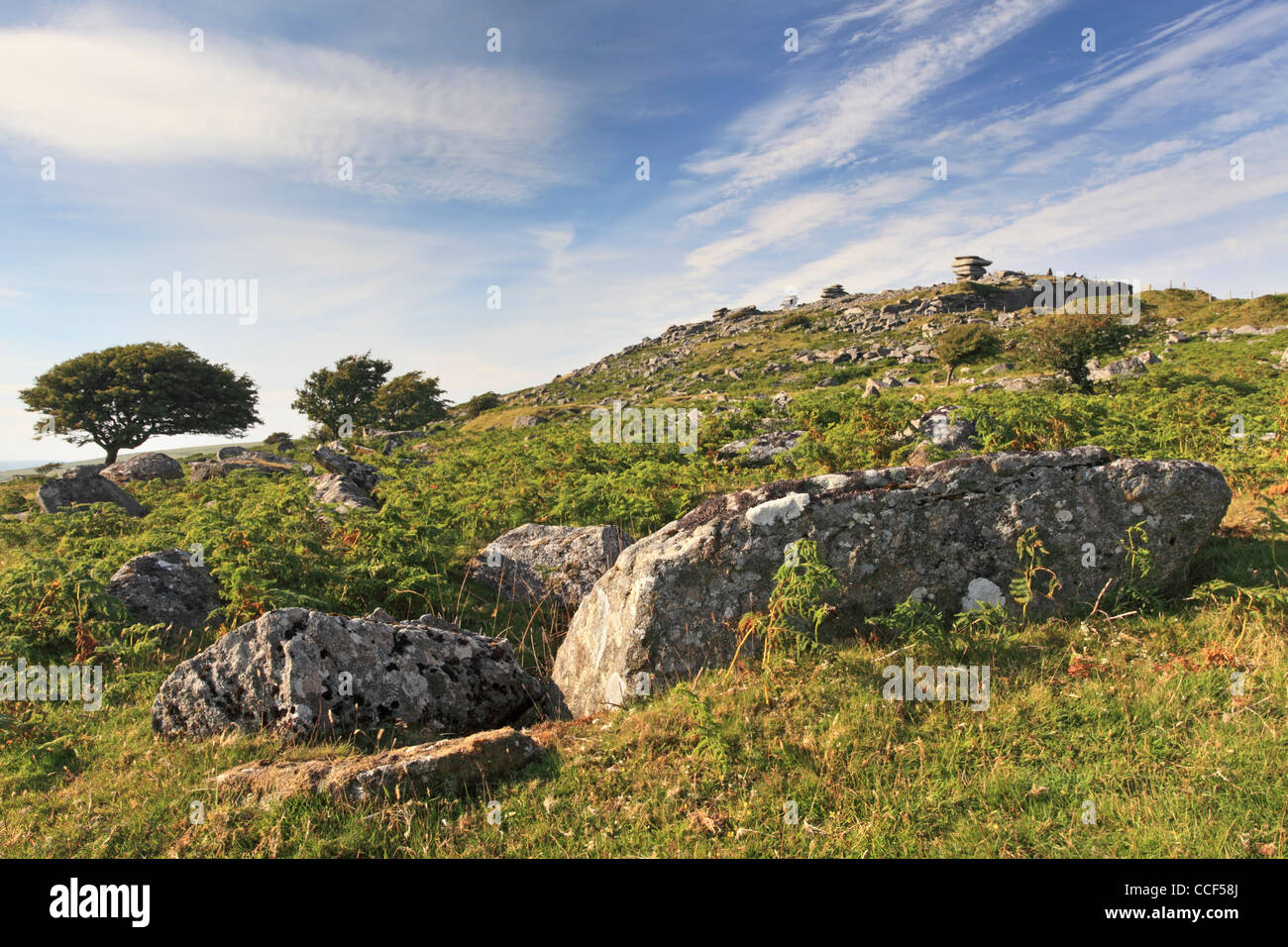 Stowes Hill and the Cheesewring on Bodmin Moor in Cornwall Stock Photo