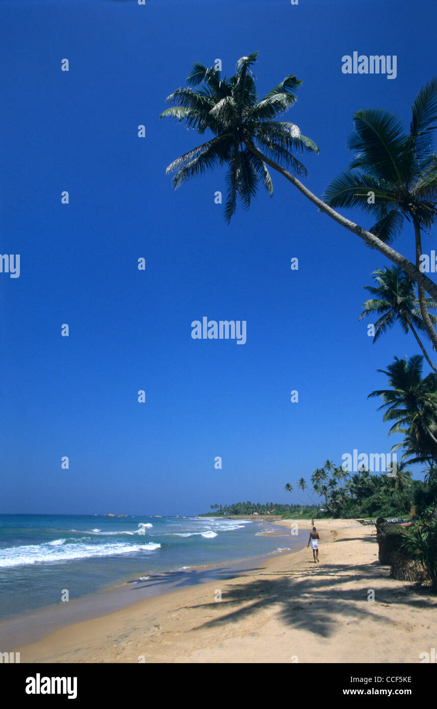 Bentota sri lanka hi-res stock photography and images - Alamy