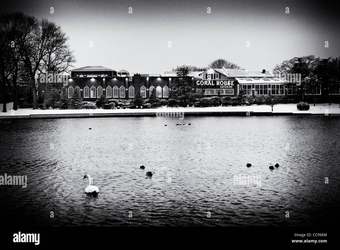 Coral House on Milburn Pond with swan, in Baldwin, New York, at dusk