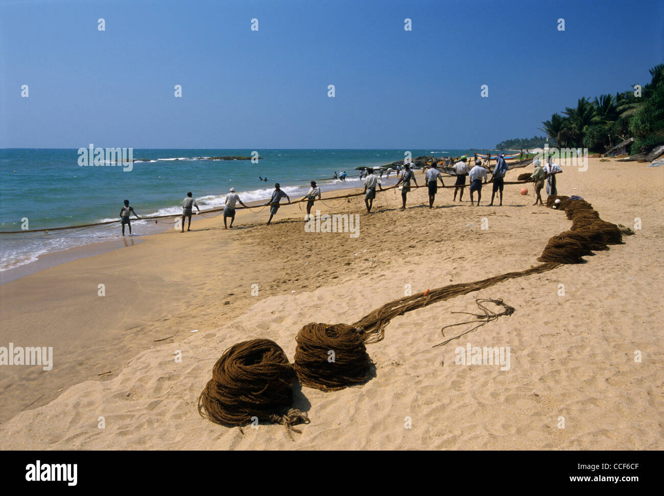 Traditional net seine fishing , Beruwala, Sri Lanka Stock Photo Alamy