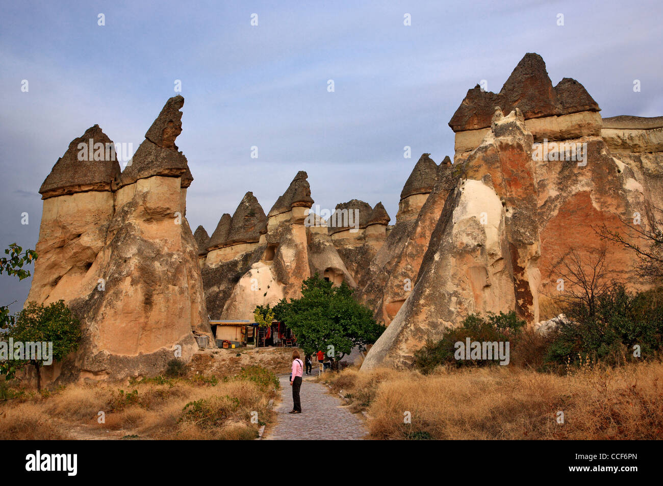 Fairy chimneys in Pasabag, Peribacalari Vadisi, Cappadocia, Turkey Stock Photo