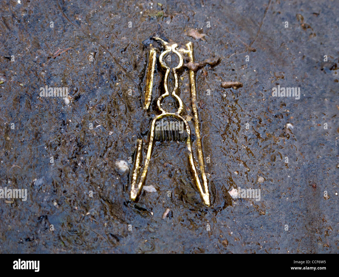 one old damaged clothes line peg on road surface Stock Photo