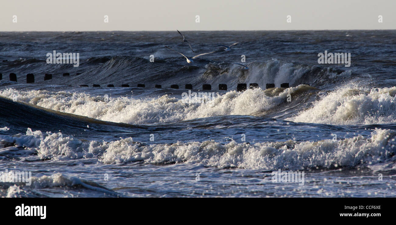 Waves on the Baltic Sea. The storm poured through the breakwaters. Seagulls fly above the waves. Stock Photo
