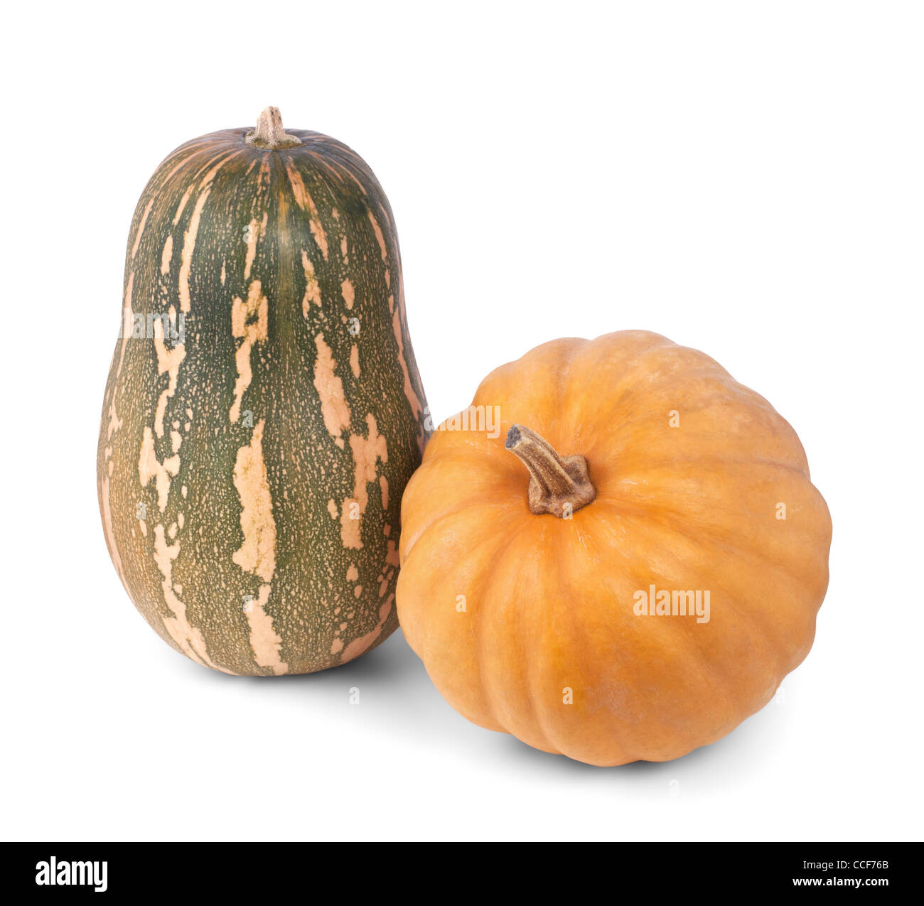 Two pumpkins isolated on white background Stock Photo - Alamy