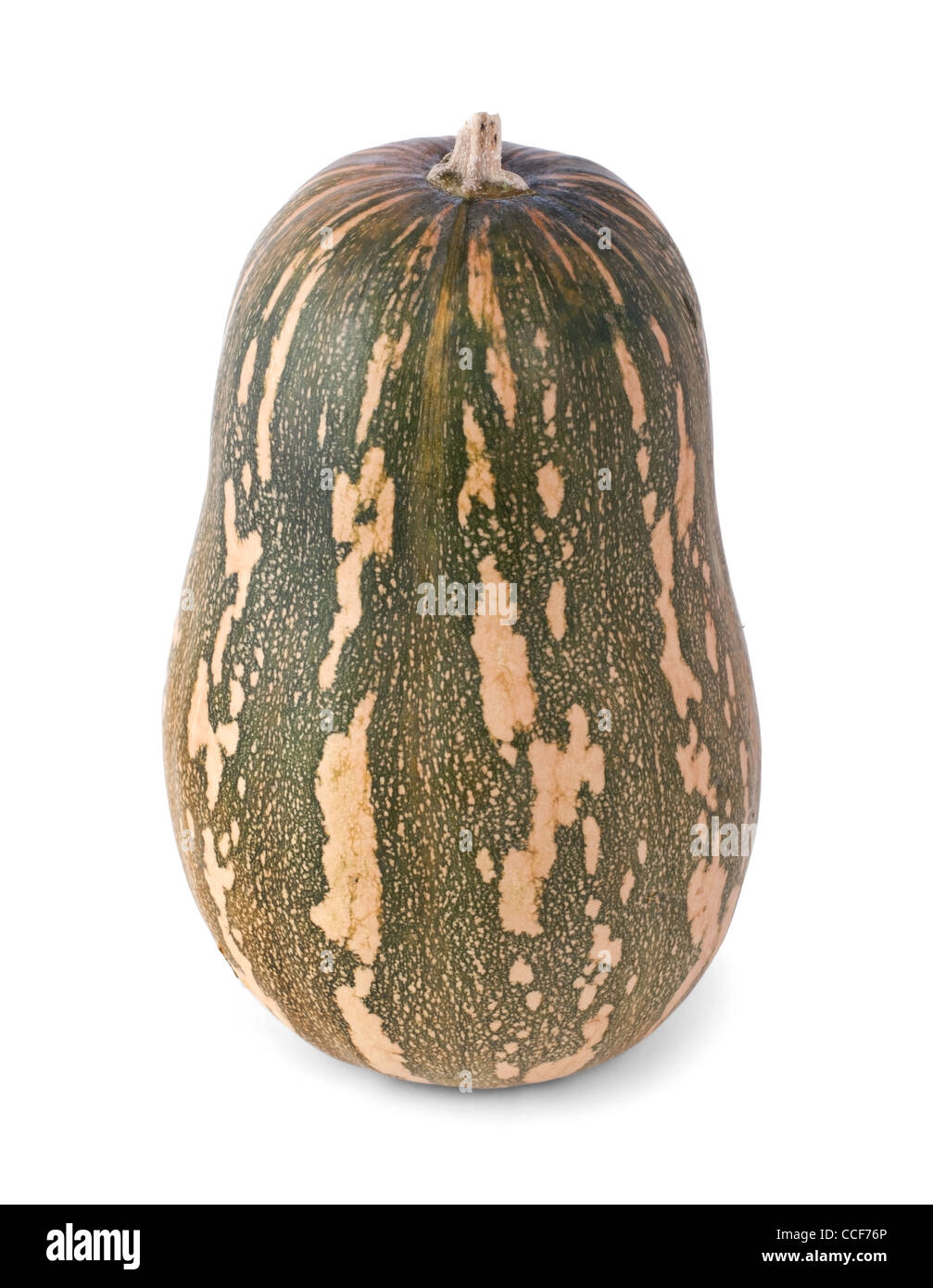 Pumpkin isolated on white background Stock Photo - Alamy
